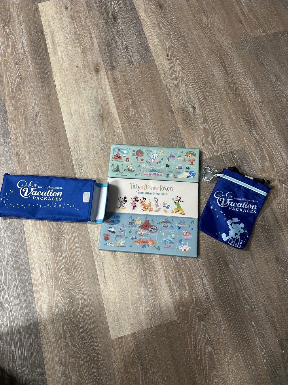 Tokyo Disney Resort Vacation Packages Souvenir Set - Blue